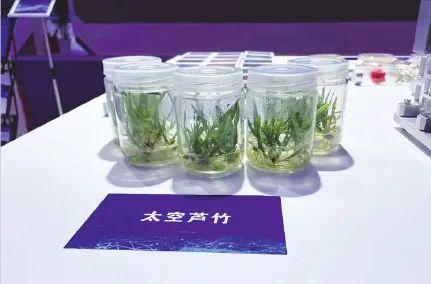 优质粮食工程典型经验交流_优质粮食工程总结_粮食优质工程典型经验发言