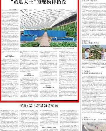 黄瓜籽种植技术_种植黄瓜籽致富_黄瓜籽种法