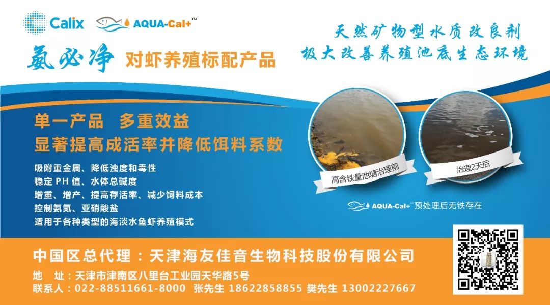 致富经青蛙2018_致富经青蛙2018_致富经青蛙2018