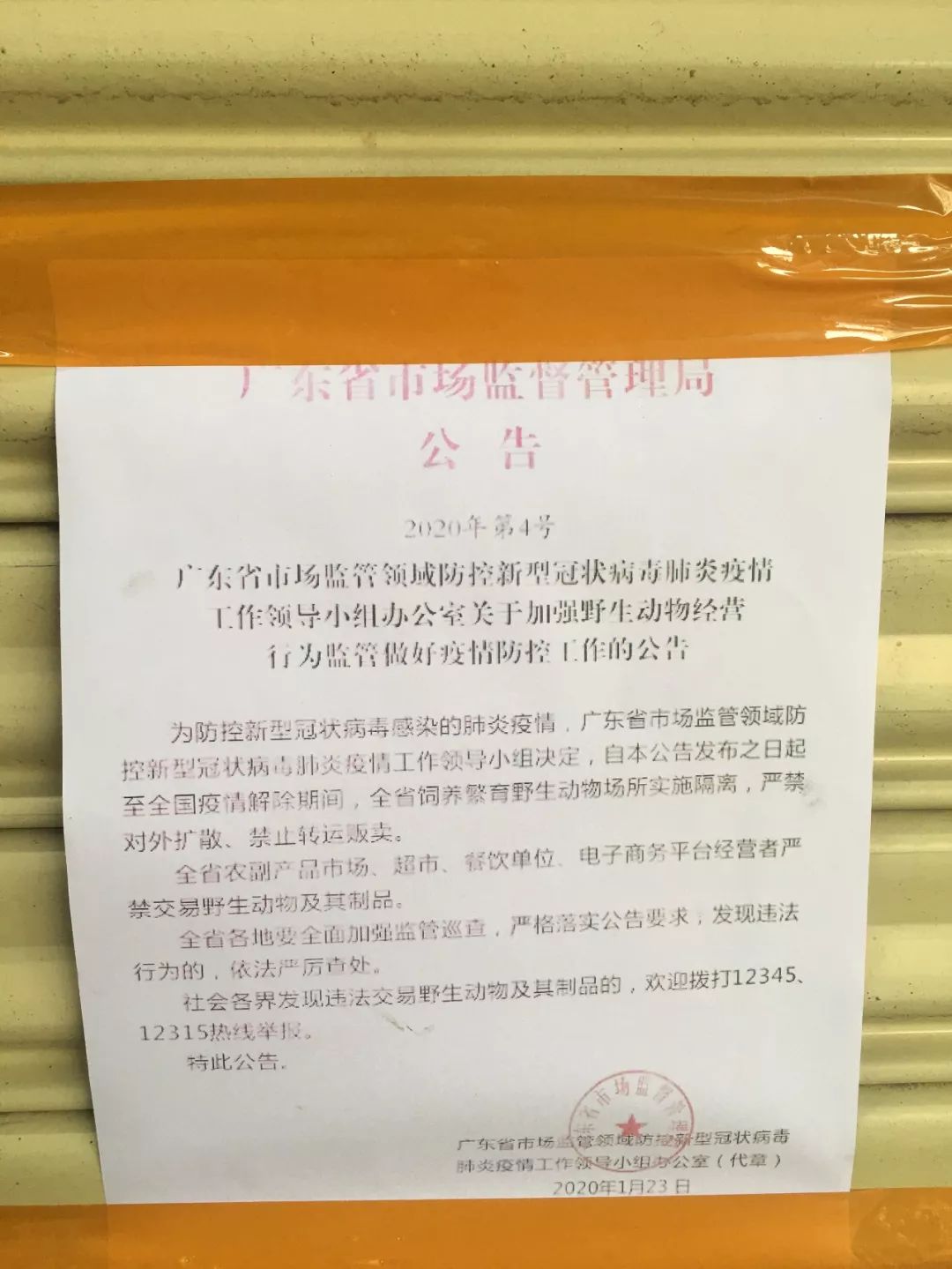 致富经青蛙2018_致富经青蛙2018_致富经青蛙2018
