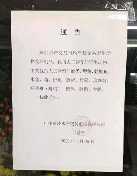 致富经青蛙2018_致富经青蛙2018_致富经青蛙2018