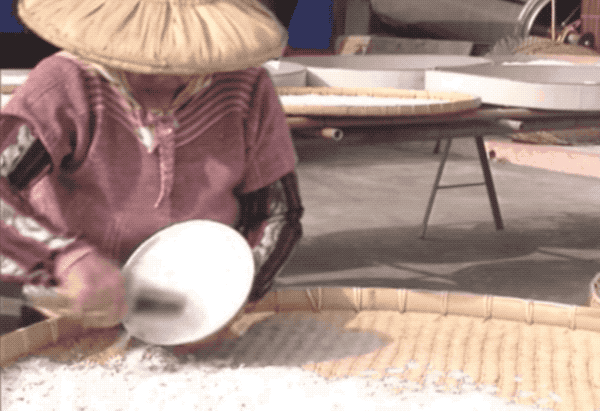 莲藕加工技术_莲藕加工致富经_致富莲藕加工厂在哪里