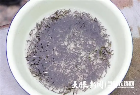 养殖致富能人故事_养殖致富经_致富经养殖业