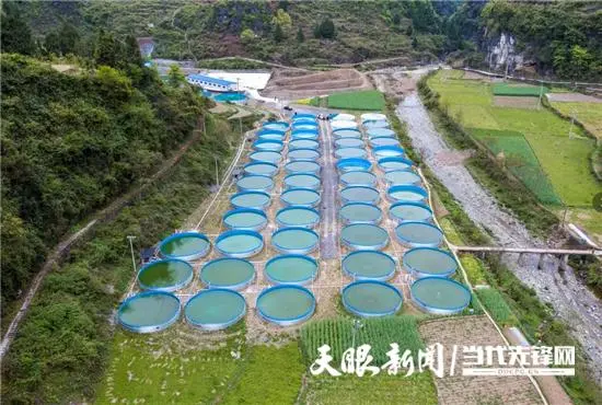 养殖致富能人故事_养殖致富经_致富经养殖业