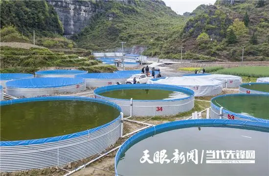 养殖致富经_养殖致富能人故事_致富经养殖业