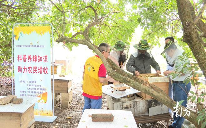 养蜂先强技，专家组团为文楼蜂农支招