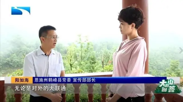 悬崖种树_悬崖种植致富经_悬崖村种植业