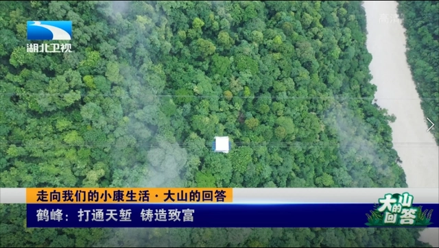 悬崖村种植业_悬崖种植致富经_悬崖种树