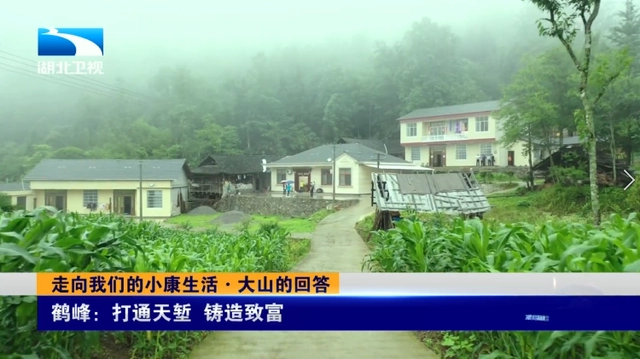 悬崖种植致富经_悬崖村种植业_悬崖种树