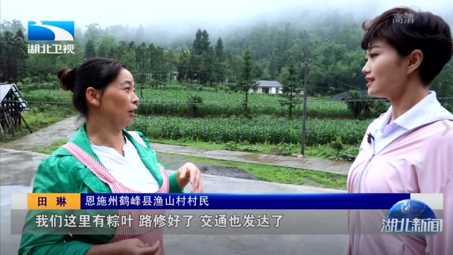 悬崖村种植业_悬崖种树_悬崖种植致富经