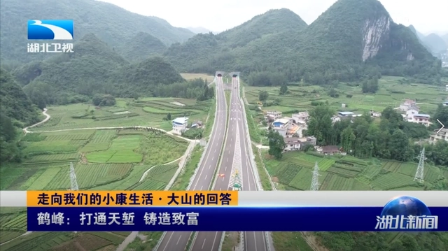 悬崖种树_悬崖村种植业_悬崖种植致富经