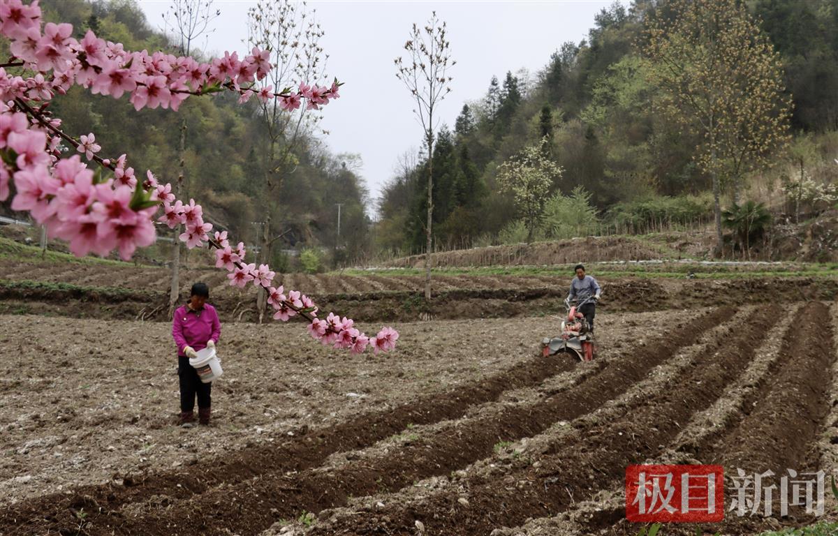 致富经一亩能赚多少钱_致富赚钱的小型机器_致富赚钱门路