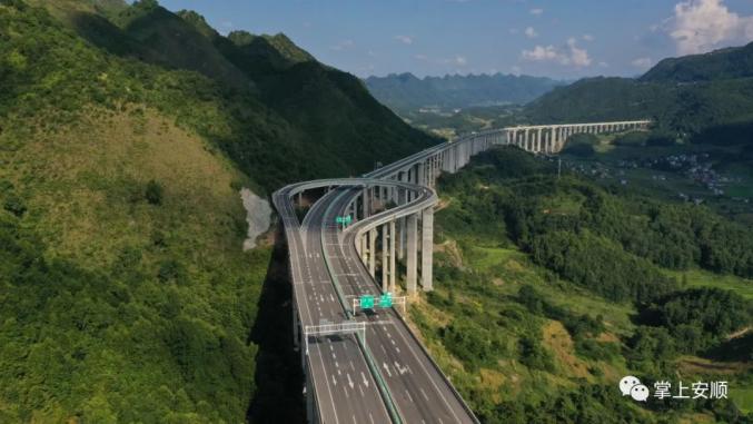 悬崖种植致富经_悬崖种树_悬崖村致富路