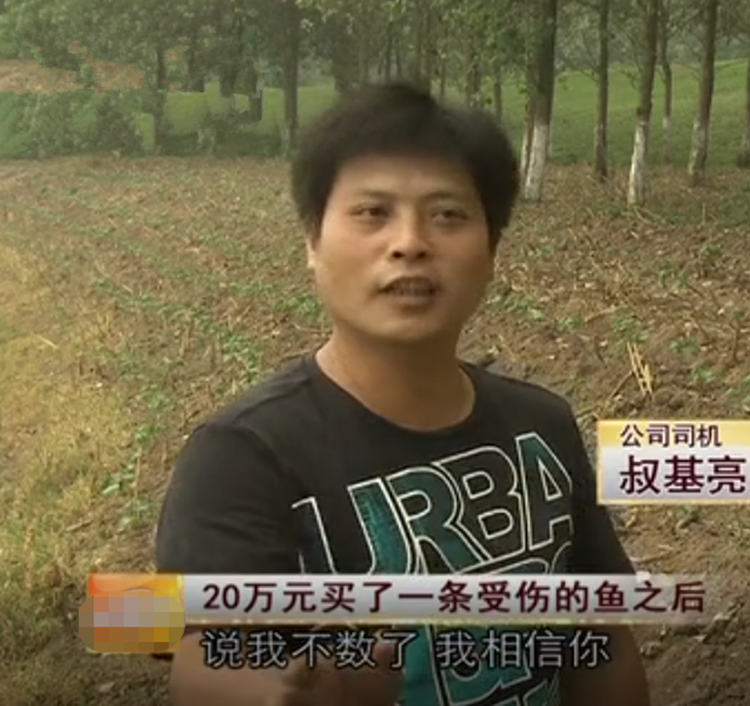 央视致富经2019年全集视频_央视致富经2021_2009年致富经央视网