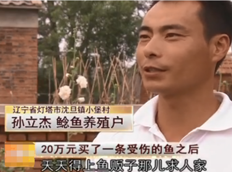 2009年致富经央视网_央视致富经2021_央视致富经2019年全集视频