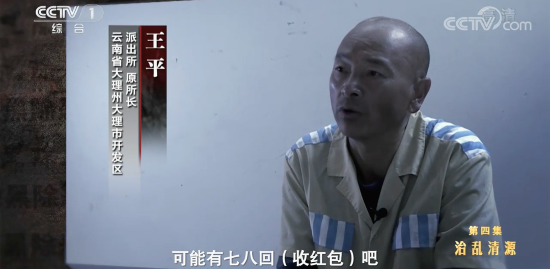 致富经种植草莓_致富经树莓_cctv致富经树莓