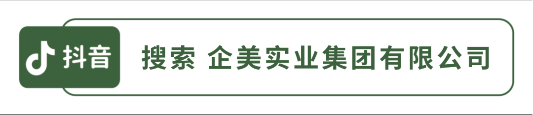 泥鳅和莲藕套养技术_泥鳅种植莲藕养套技术与管理_种植莲藕套养泥鳅技术