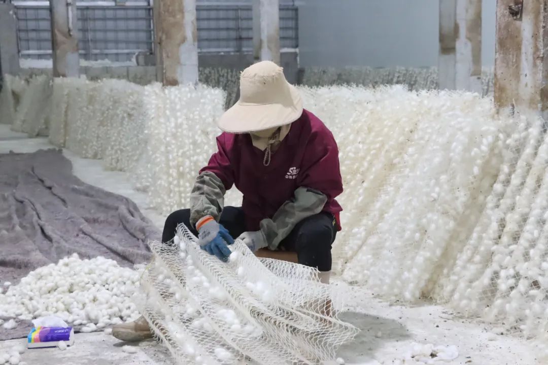 蜂蜜的养殖_土蜂蜜的养殖技术_蜂蜜养殖户