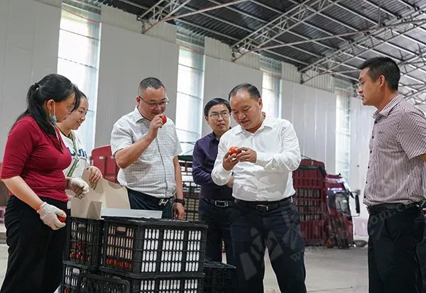高山养殖致富项目_高山养殖场_高山地区养殖什么最赚钱