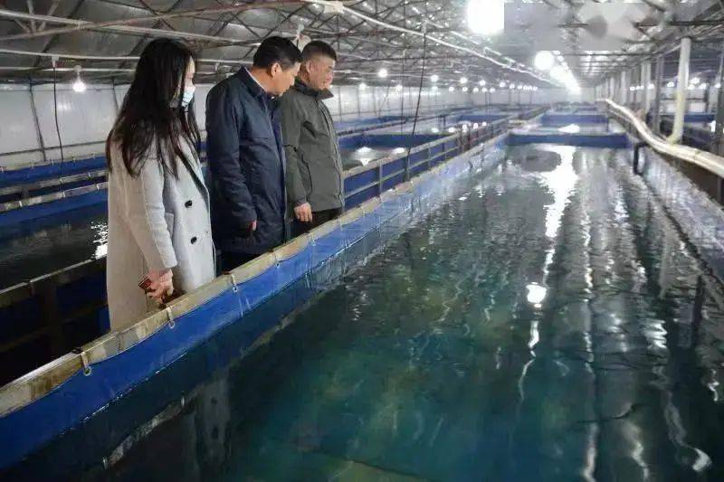 江苏水产养殖补贴政策_江苏水产养殖致富_江苏水产养殖场