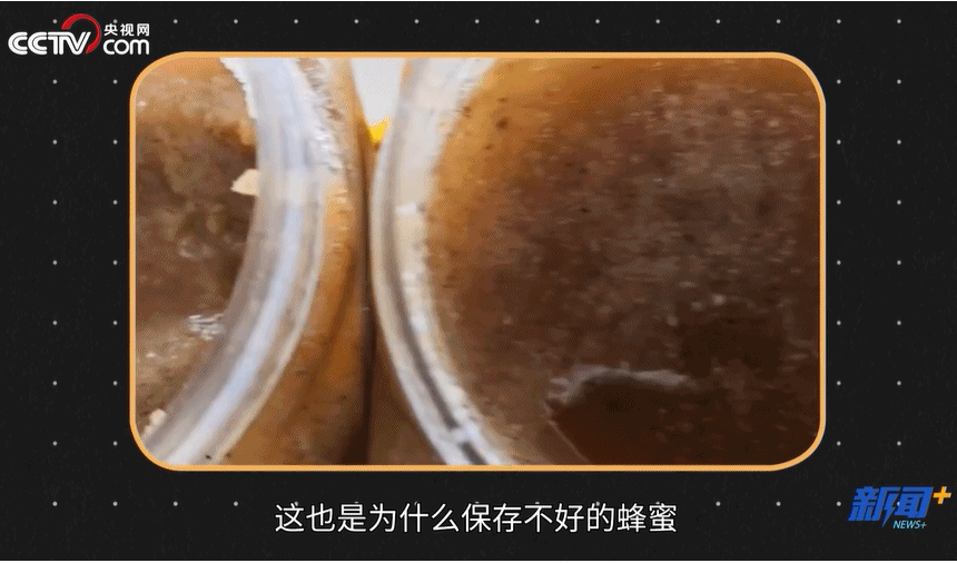 蜂蜜的养殖技术_养殖蜂蜜怎么养殖技术_土蜂蜜的养殖技术