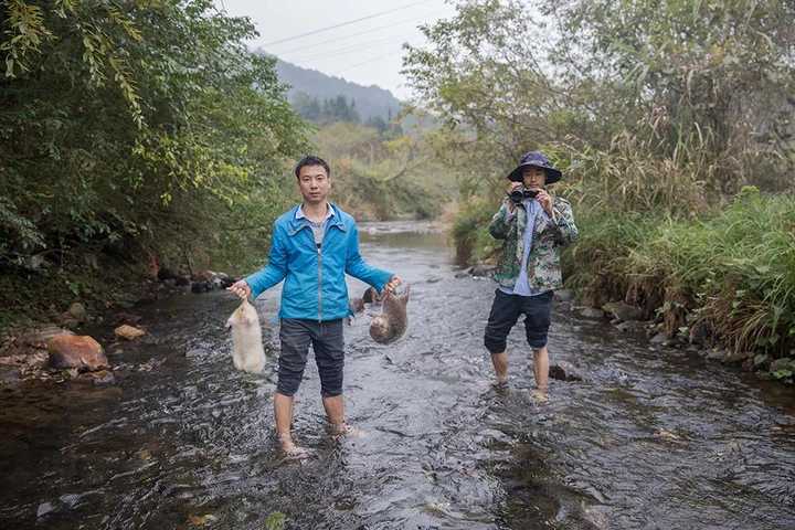 致富经中养竹鼠_养殖竹鼠赚钱吗_养殖竹鼠的前景如何