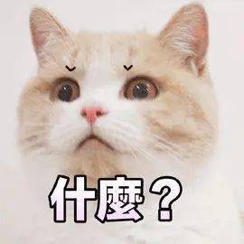 铜鼓港口养的虫子被端上餐桌，蛮跑火！