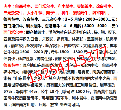 山东致富经_致富经 山东_山东致富项目