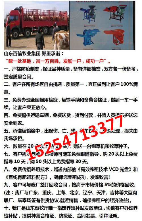 山东致富项目_致富经 山东_山东致富经
