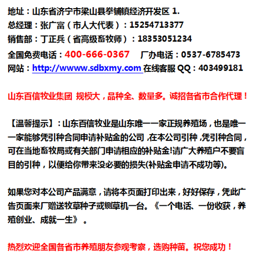 致富经 山东_山东致富经_山东致富项目