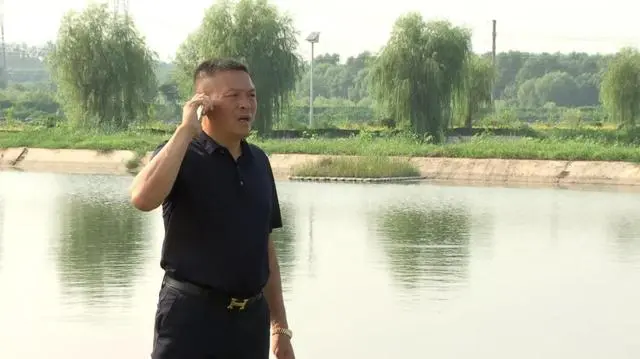 致富经养飞鸡_致富经金鱼养殖_致富经金飞养殖场