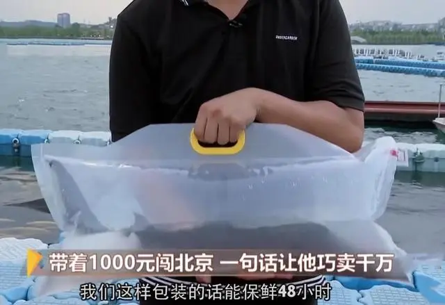 致富经养飞鸡_致富经金鱼养殖_致富经金飞养殖场