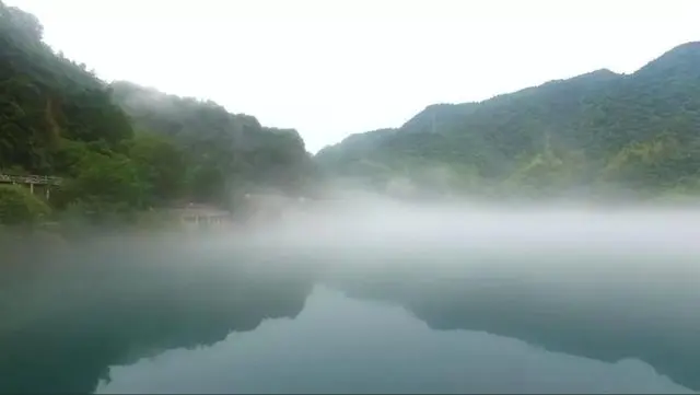 致富经金飞养殖场_致富经金鱼养殖_致富经养飞鸡