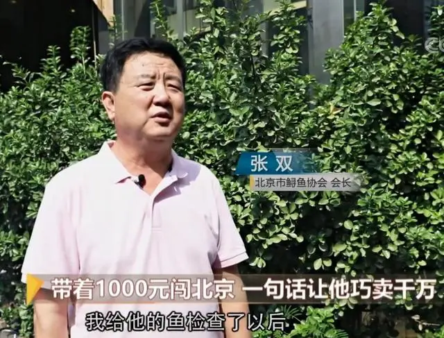 致富经金鱼养殖_致富经金飞养殖场_致富经养飞鸡