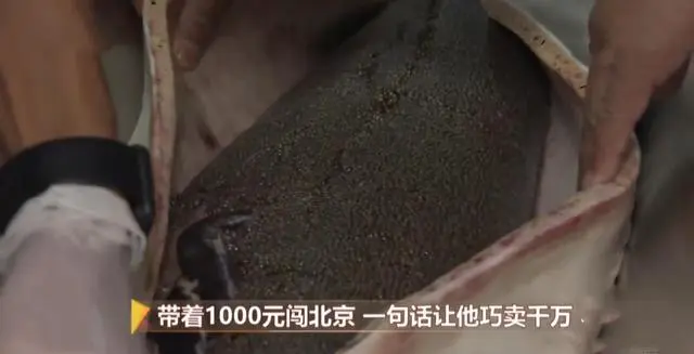致富经养飞鸡_致富经金鱼养殖_致富经金飞养殖场