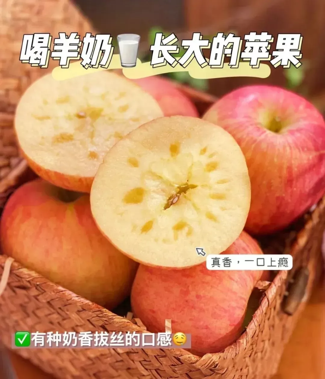 羊奶果种植技术时间_种植果羊奶技术时间是多少_羊奶果树种植