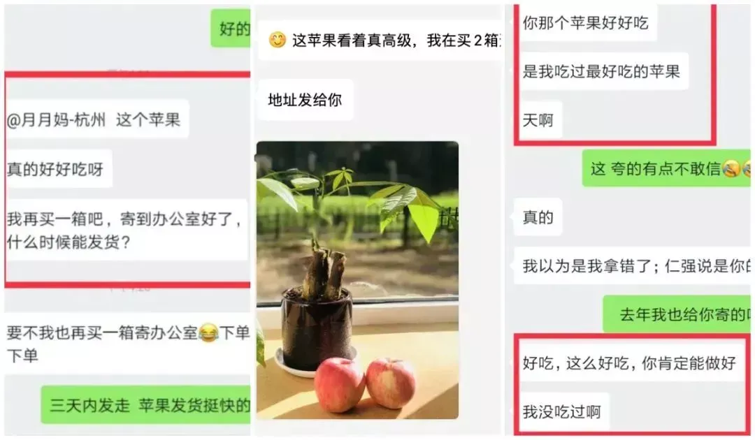 种植果羊奶技术时间是多少_羊奶果种植技术时间_羊奶果树种植