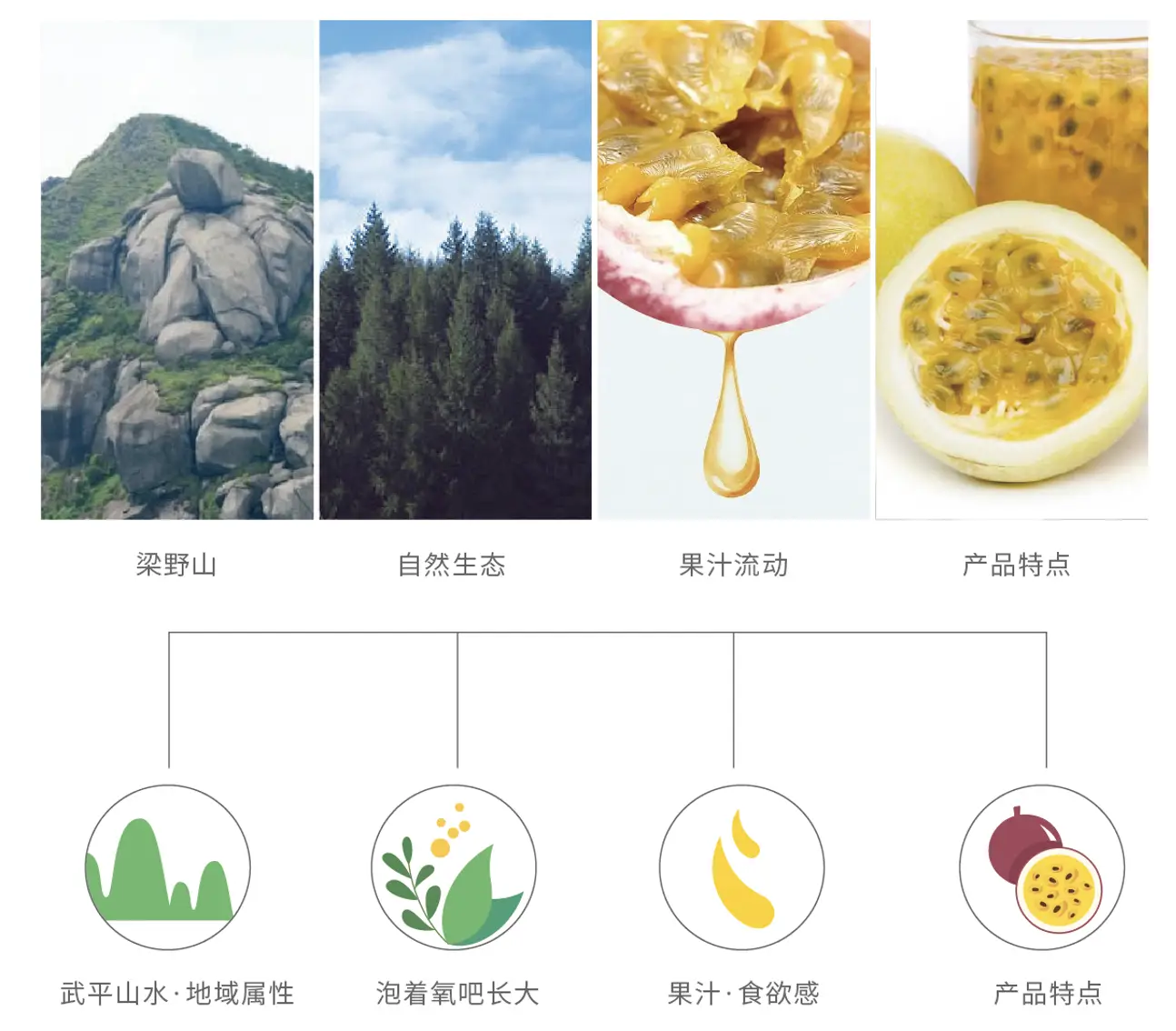 广西种什么果赚钱_80后广西种百香果致富经_广西果树品种