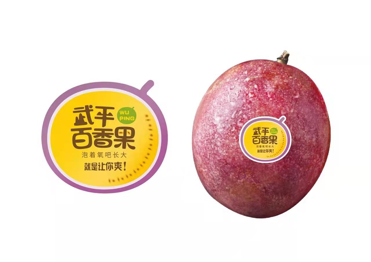 广西果树品种_广西种什么果赚钱_80后广西种百香果致富经