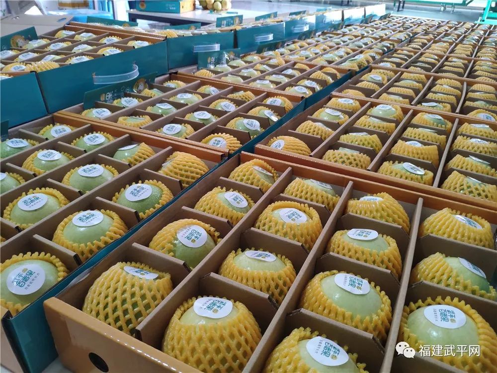 80后广西种百香果致富经_广西种什么果赚钱_广西果树品种