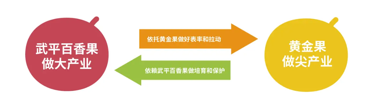 广西果树品种_广西种什么果赚钱_80后广西种百香果致富经