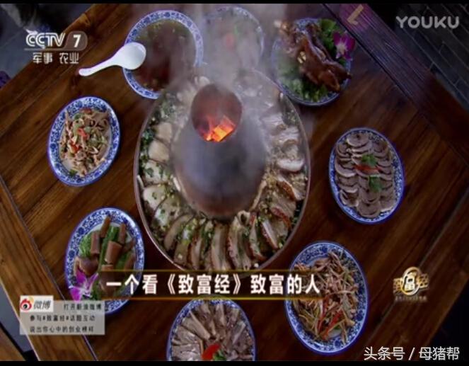 养母猪致富_致富经母猪_致富经母猪养殖视频
