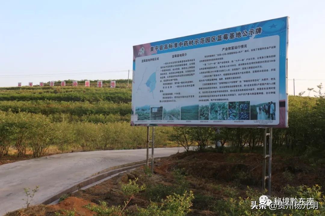 致富经杨丽视频_杨丽花歌仔戏1搜库专找视频_致富经杨丽