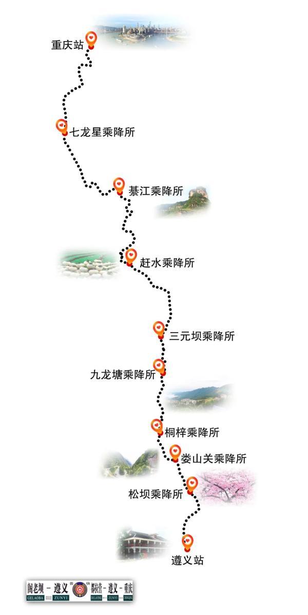 无腿硬汉养羊致富视频_舞蹈明星杨丽杨丽萍舞蹈视频_致富经杨丽视频