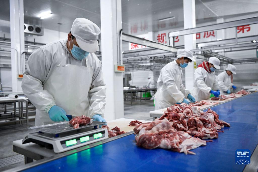养羊牛赚钱吗_致富养殖羊牛_养殖牛羊赚钱吗