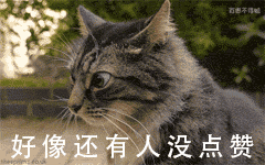 致富商机项目_致富经62岁发现的商机_商机致富发现了什么