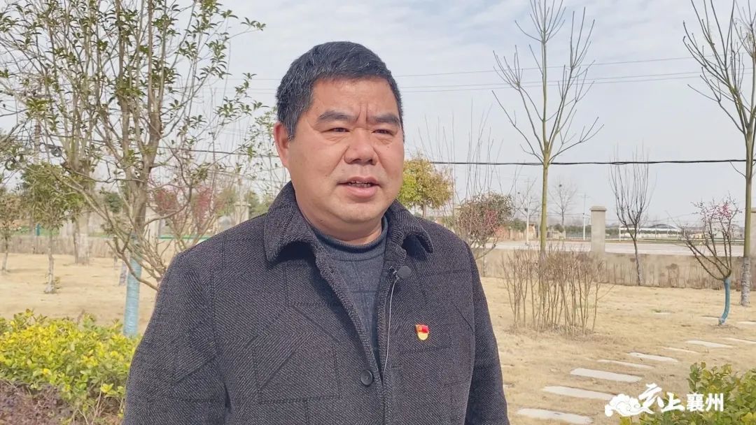 种植马铃薯赚钱吗_农民种植马铃薯致富_致富马铃薯种植农民怎么样