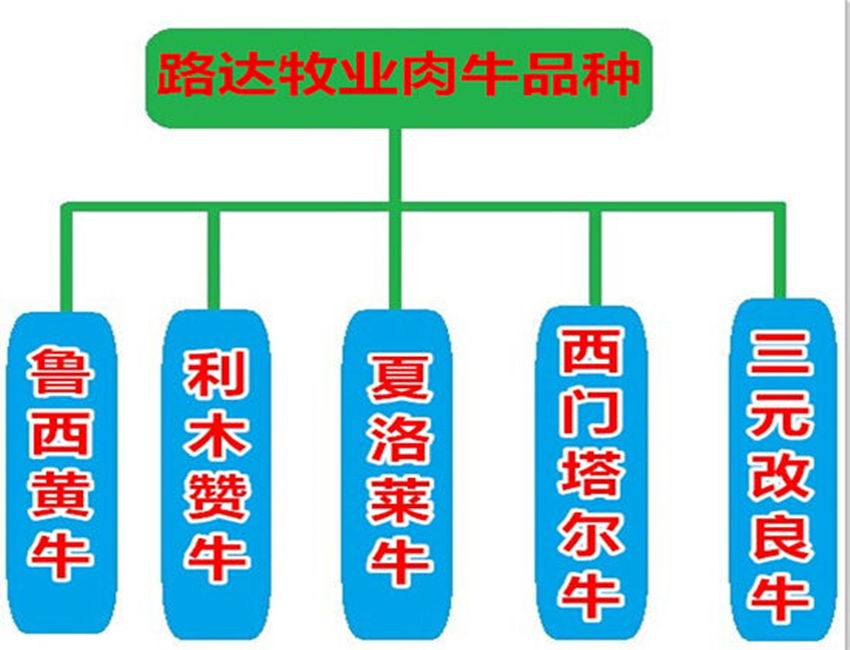 养驴致富视频_致富经 驴的养殖_驴的养殖前景和预算