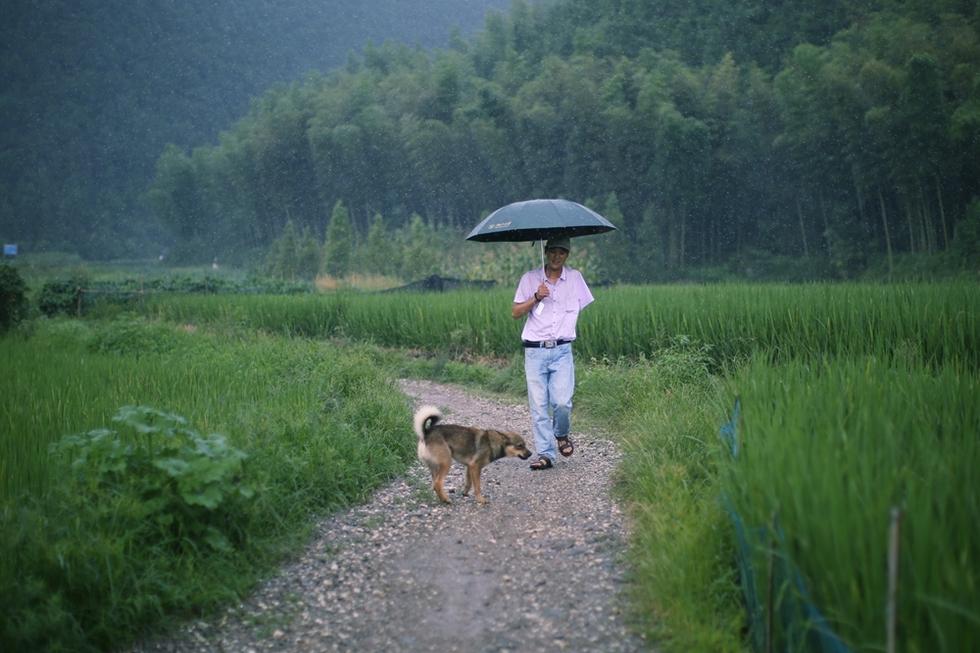 独臂小伙在坟场养猪年入三千万 终抱美人归