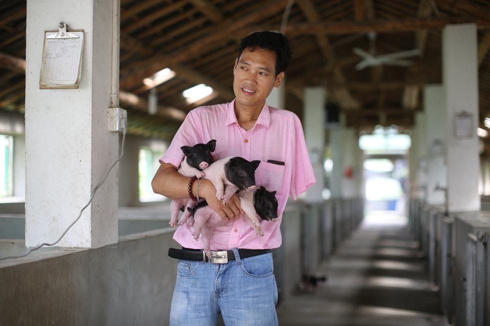 致富经 烤乳猪_致富经烤乳猪视频_致富养猪